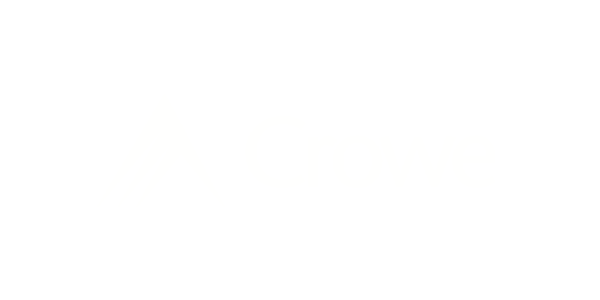 Crowe-white-logo